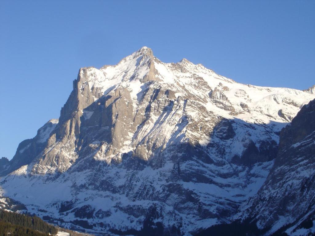 Chalet Spinne Grindelwald Habitación foto